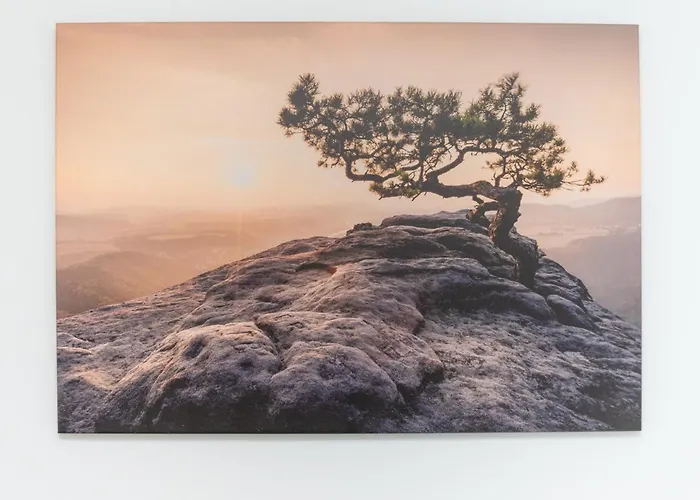 Park Skowroni Cosy By Bookinghost ורוצלב