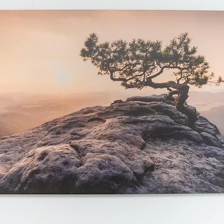 Park Skowroni Cosy By Bookinghost 弗罗茨瓦夫